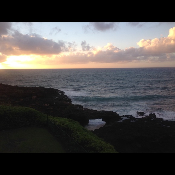 Meet your Posher, Ruby - Picture 1 of 1